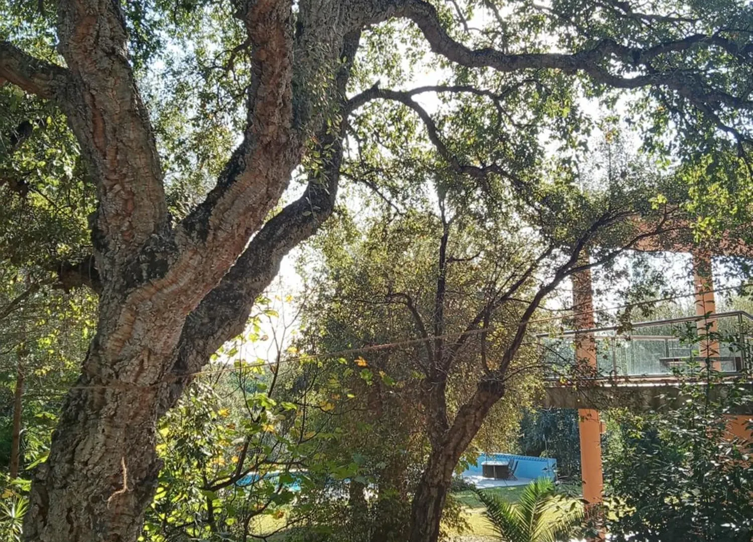 Sotogrande - Estancia En Plena Naturaleza - Abril 民宿