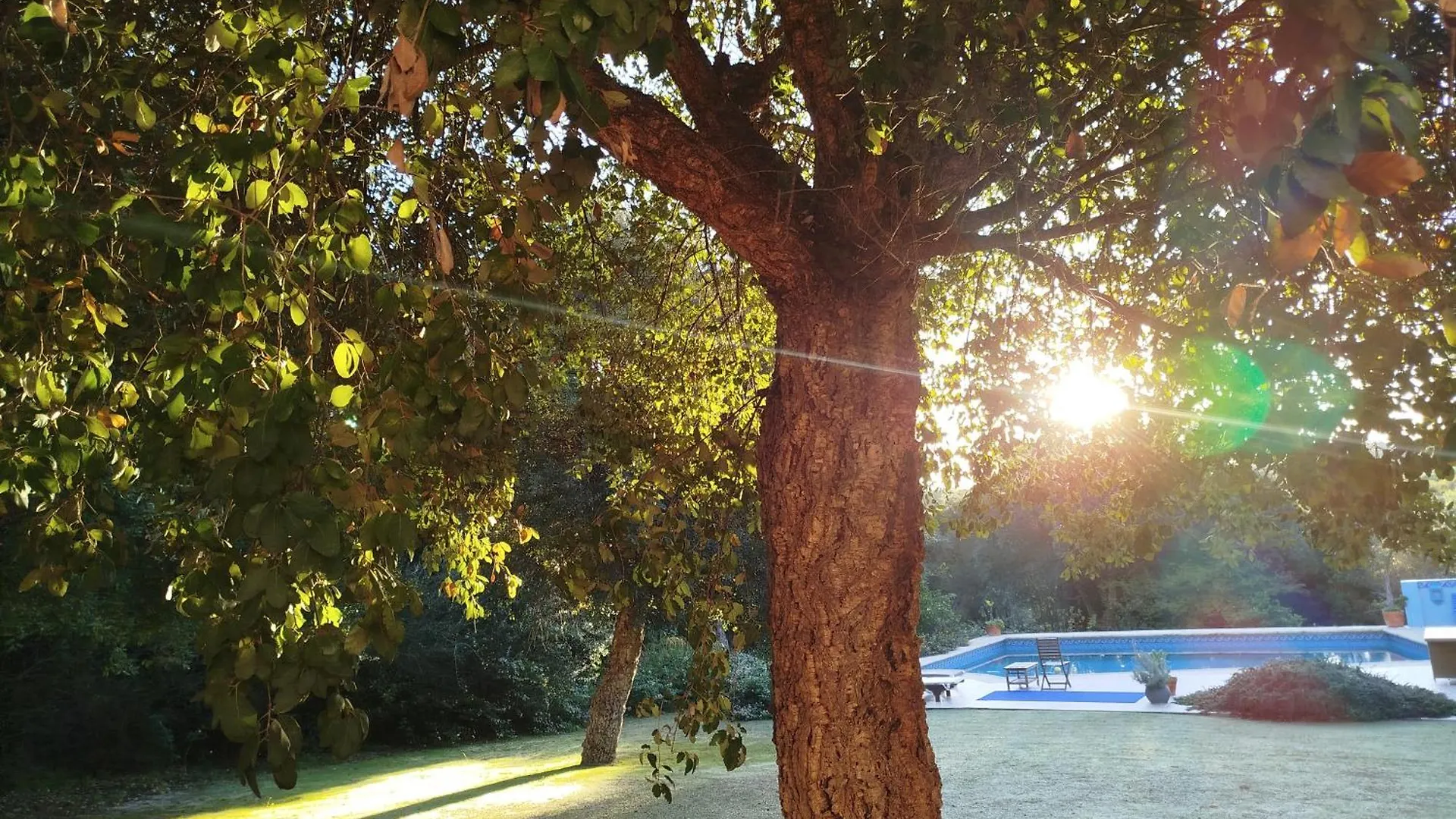 民宿 Sotogrande - Estancia En Plena Naturaleza - Abril